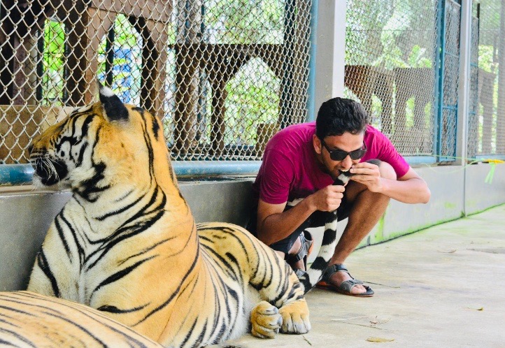 tiger park pattaya