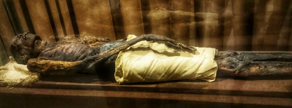 hermitage museum mummy