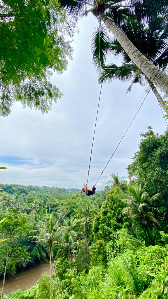 Adrenaline swing Bali 